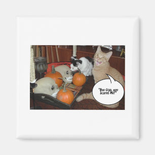 Happy Halloween Gruß Magnet
