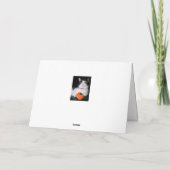 Happy Halloween Hexenkatze Karte (Rückseite)