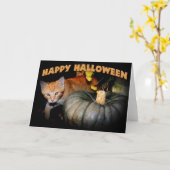 Happy Halloween Karte (Gelbe Blume)