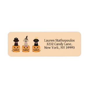 Happy Halloween Labrador Retriever Dogs Pumpkin