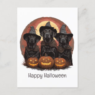 Happy Halloween Labrador Retriever Hunde Hexenhats Postkarte