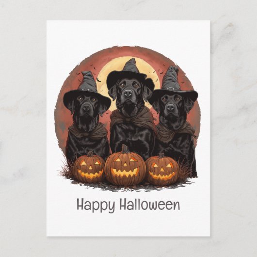 Happy Halloween Labrador Retriever Hunde Hexenhats Postkarte (Vorderseite)
