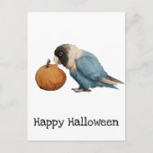 Happy Halloween Lovebird Pumpkin Zeichnend Postkarte (Vorderseite)