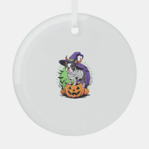 Happy Halloween mit Boston Terrier Mummy & Hexe Ornament Aus Glas