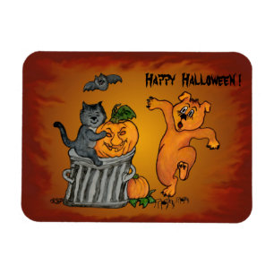 Happy Halloween mit Katzen-Katzen-Hund und Spider Magnet