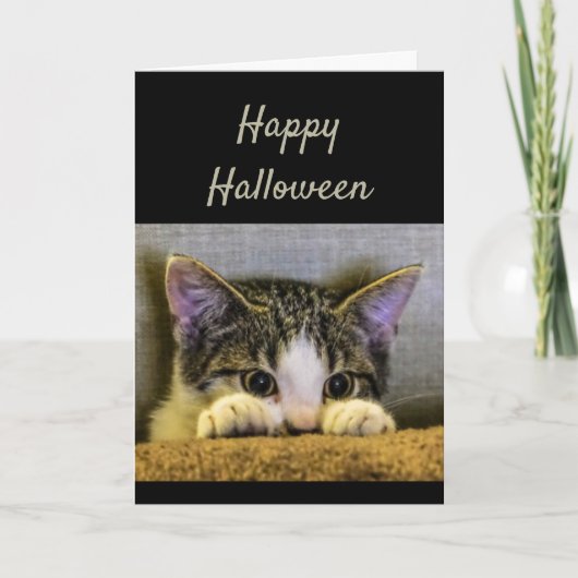 Happy Halloween Niedlich erschreckt Kitten Funny Karte (Vorderseite)