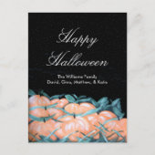 Happy Halloween Niedliche Pumpkins Harvest Postkarte (Vorderseite)