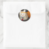 Happy Halloween Orange Tabby Cat mit Pumpkin Runder Aufkleber (Tasche)