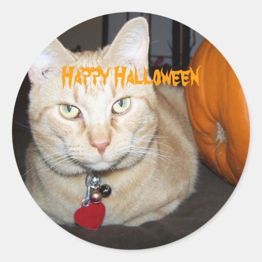 Happy Halloween Orange Tabby Cat mit Pumpkin Runder Aufkleber (Vorderseite)