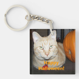 Happy Halloween Orange Tabby Cat mit Pumpkin Schlüsselanhänger