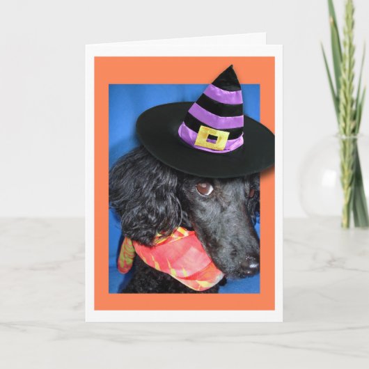 Happy Halloween Party Hat Poodle Card Karte (Vorderseite)