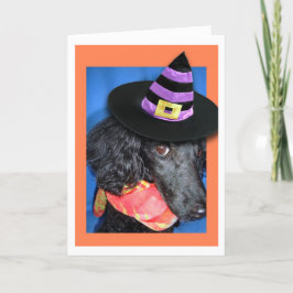 Happy Halloween Party Hat Poodle Card Karte