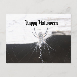 Happy Halloween Postcard Postkarte