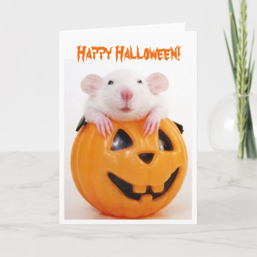 Happy Halloween Pumpkin Rat Karte (Vorderseite)