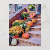 Happy Halloween Pumpkin Treairs New York Postcard