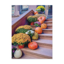 Happy Halloween Pumpkin Treairs New York Postcard