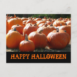 Happy Halloween Pumpkins Card Postkarte