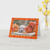 Happy Halloween Puppy Card Karte (Gelbe Blume)