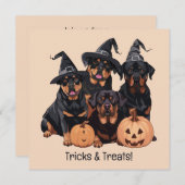 Happy Halloween Rottweiler Hunde Kürbislaterne Einladung (Vorne/Hinten)