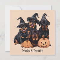 Happy Halloween Rottweiler Hunde Kürbislaterne