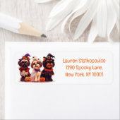 Happy Halloween Shih Tzu Dogs (Insitu)