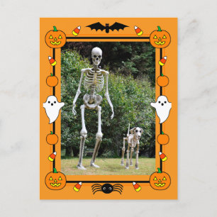 Happy Halloween Skeleton Feiertagspostkarte