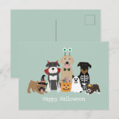Happy Halloween Spooky Pet Kostüme Postkarte (Vorne/Hinten)
