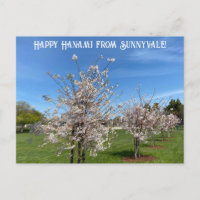 Happy Hanami aus Sunnyvale!