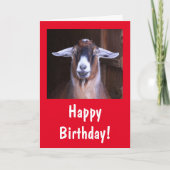 Happy Handsome Goat Birthday Karte (Vorderseite)