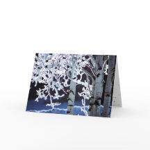 Happy Hanukkah Birch Frost