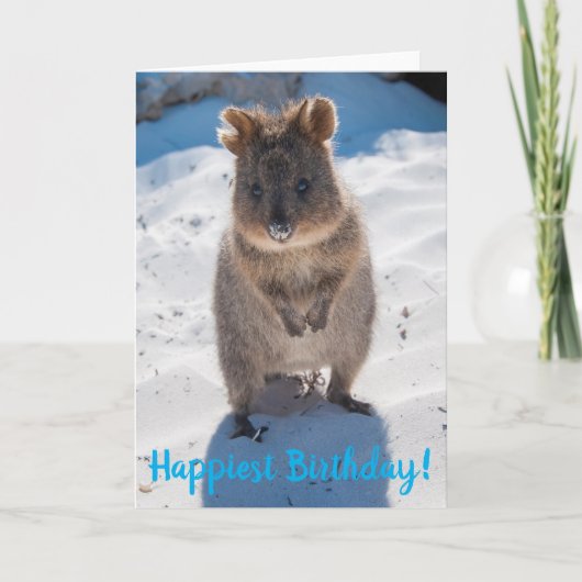Happy Happiest Birthday Quokka Card Karte (Vorderseite)