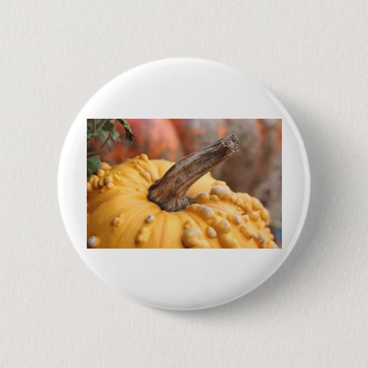 Happy Harvest! Button (Vorderseite)