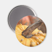 Happy Harvest! Magnet (Vorderseite/Rückseite)