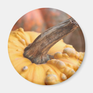 Happy Harvest! Magnet