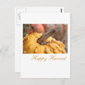 Happy Harvest! Postkarte (Vorne/Hinten)