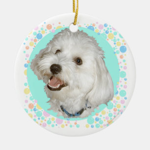 Happy Havanese Keramikornament
