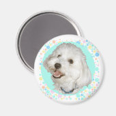 Happy Havanese Magnet (Vorderseite/Rückseite)