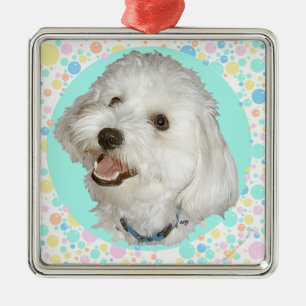 Happy Havanese Ornament Aus Metall