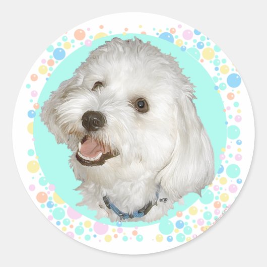 Happy Havanese Runder Aufkleber (Vorderseite)