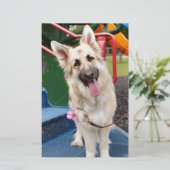 Happy Head Tilt Briefpapier (Stehend Vorderseite)