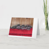 Happy Hedgehog Day! Karte (Rückseite)