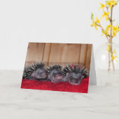 Happy Hedgehog Day! Karte (Gelbe Blume)