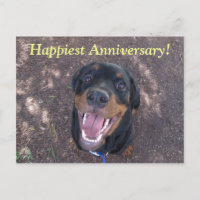Happy Heidi Happiest Anniversary Postcard