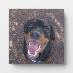 Happy Heidi Rottweiler Foto Plaque Fotoplatte