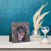 Happy Heidi Rottweiler Foto Plaque Fotoplatte (InSitu)