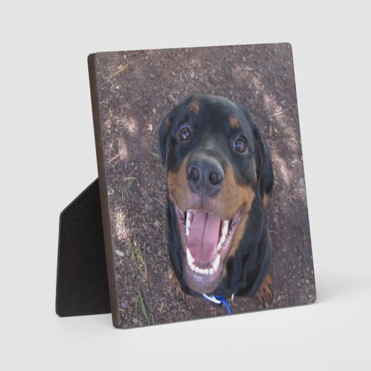 Happy Heidi Rottweiler Foto Plaque Fotoplatte (Vorderseite)