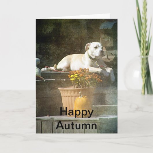Happy Herbst Hund auf Porch Karte (Vorderseite)