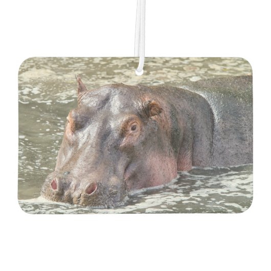 Happy Hippo Autolufterfrischer (Rückseite)