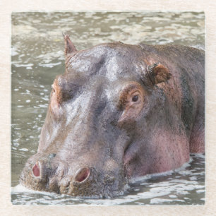 Happy Hippo Glasuntersetzer