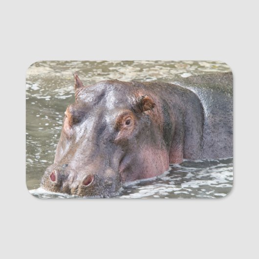 Happy Hippo Namensschild (Vorderseite)